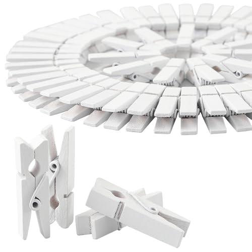 HSTECH 100 Pcs White Mini Wooden Clothespins with 82 Ft Jute Twine for Crafts