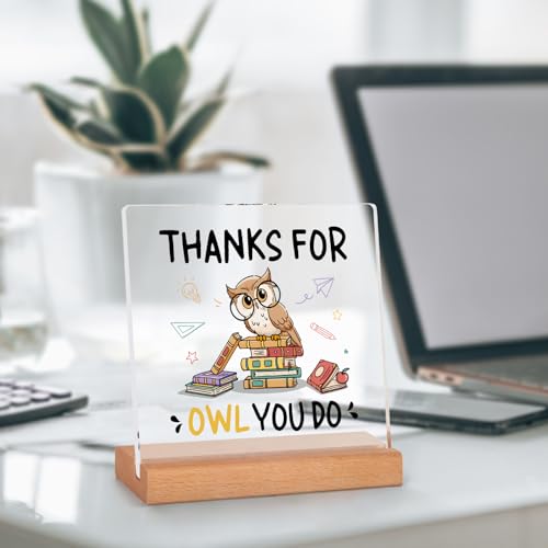 Teacher Appreciation Gift Owl Acrylic Desk Plaque - Meaningful Present