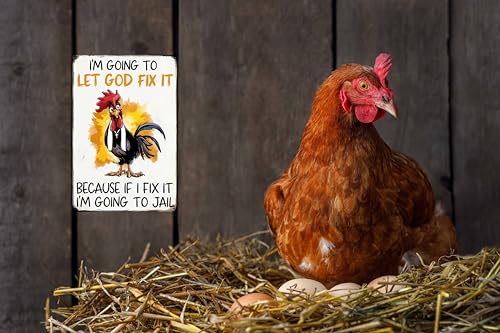 WSUPBPR Chicken G Funny Christian Gift Tin Sign for Farmhouse Kitchen Decor 8x12 in