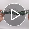 Wearable Crown of Thorns Life Size 8 Inch for Religious Decor & Costumes