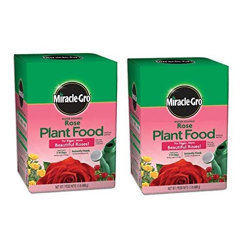 Miracle-Gro Water Soluble Rose Plant Food 1.5 lb. (2-Pack) for Boosting Bloom Size
