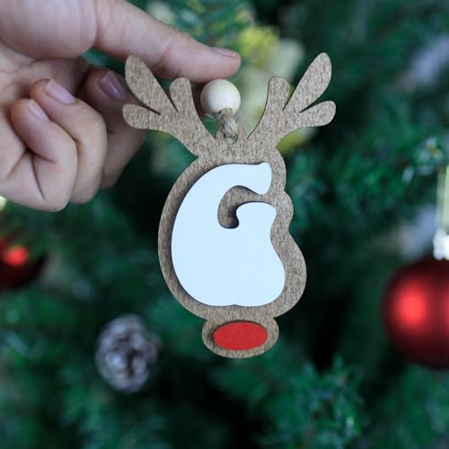 26 Reindeer Name Ornaments - Festive Christmas Tree Decorations