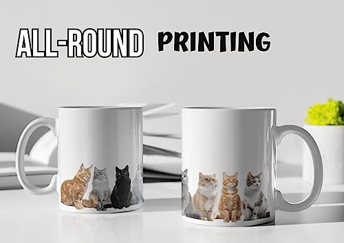 Heat Sensitive Cat Mug - 12oz Coffee Cup for Cat Lovers, Gifts for Women & Men
