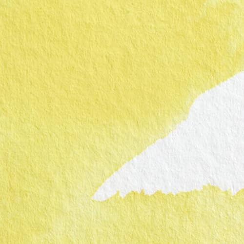 Winsor & Newton Professional Watercolor Tube - Bismuth Yellow 14ml
