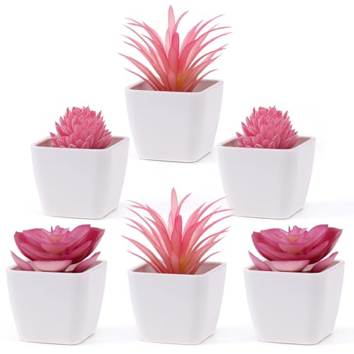 Woration 6Pcs Mini Artificial Pink Succulent Plants in Pots