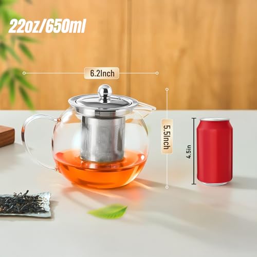 Baalaka 22 oz Glass Teapot with Removable Stainless Steel Infuser