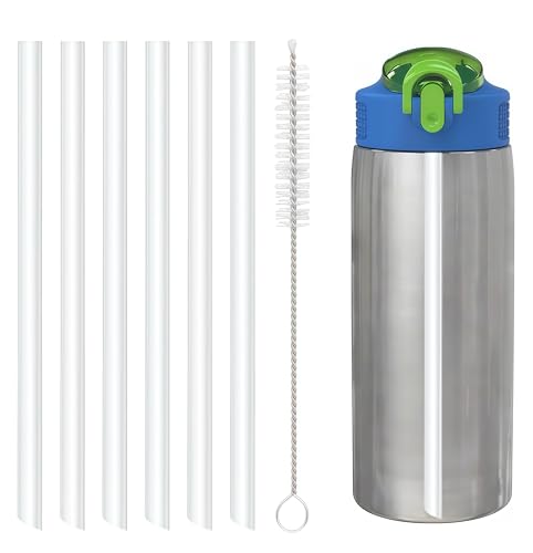 Replacement Straws for Zak Designs 19oz Water Bottle - 6 Straws & Brush