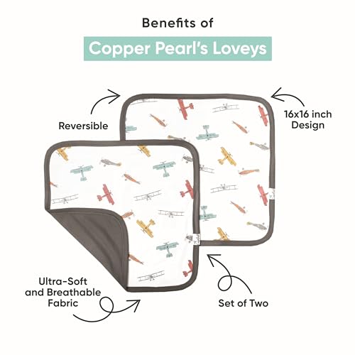 Copper Pearl Baby Security Blanket Set of 2 - Portable Size for Self-Soothing On-The-Go, Ideal Baby Blankets for Boys and Girls, Ultra-Soft, and Gift-Ready Loveys - Neil
