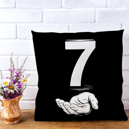Heyfary 6th & 7th Birthday Party Throw Pillow Covers, 18x18 Linen Set of 2