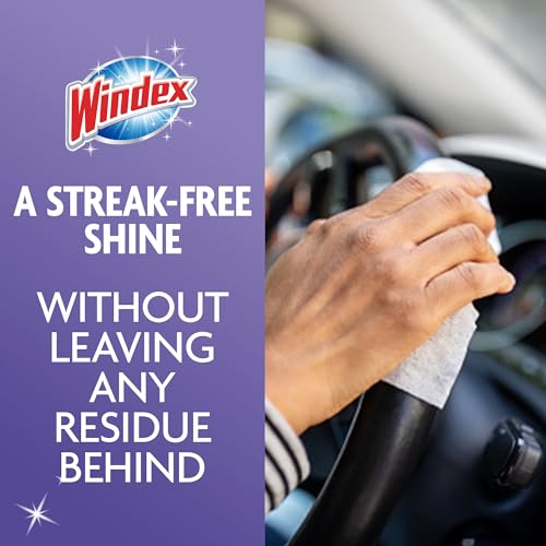 Windex Ammonia-Free Glass and Window Cleaning Wipes, 25 Count - Pack of 1, Streak-Free Surface Cleaner