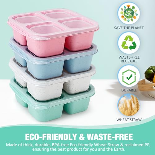 Caperci Bento Snack Boxes with Clear Lids - 4 Pack Eco-Friendly Containers