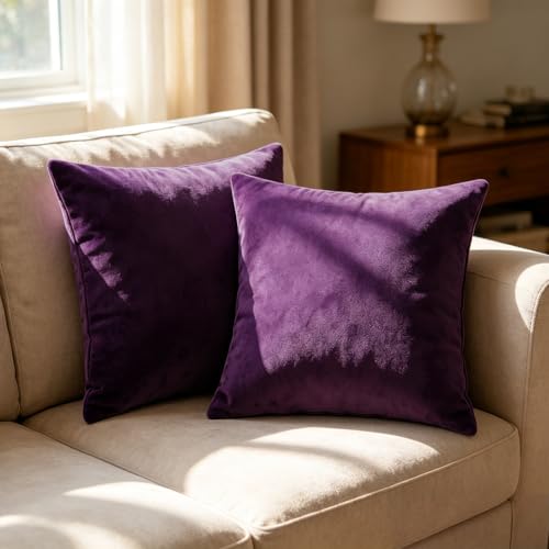 Bunliuys 2 Pack 18x18 Velvet Throw Pillow Covers - Eggplant Purple
