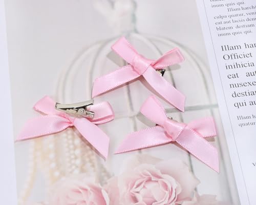 Mini Satin Hair Bow Clips 30Pcs Ribbon Bowknot Barrettes for Women Girls