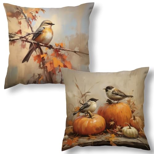 Vintage Fall Pumpkin Bird Throw Pillow Covers Set of 2 - 18x18in
