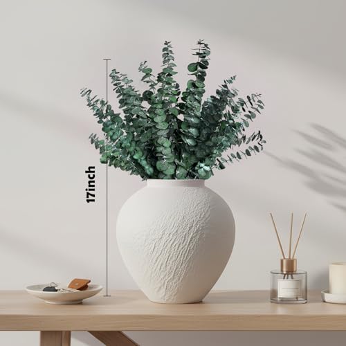 12 PCS Preserved Eucalyptus Stems - 17” Natural Aromatic Decor