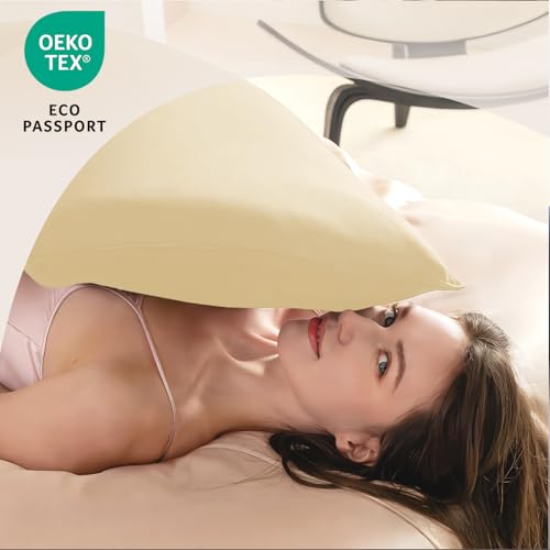 Queen Microfiber Pillow Cases Set of 2 - Soft, Wrinkle & Fade Resistant, Open-End Closure