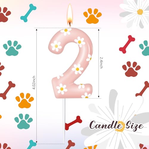 Conelist Number 2 Daisy Birthday Candle - Pink Flower Cake Topper