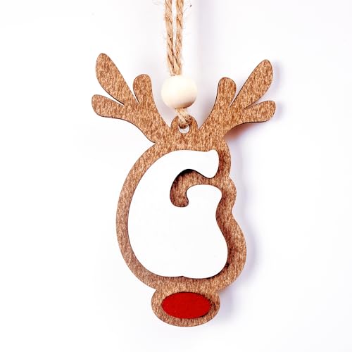 26 Reindeer Name Ornaments - Festive Christmas Tree Decorations