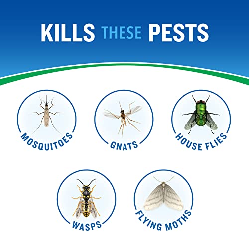 Cutter Backyard Bug Control Fogger 16 Oz - 3 Pack Outdoor Insect Spray