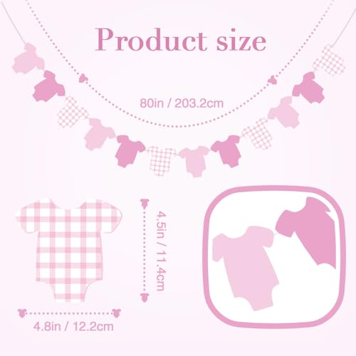 Pink Gingham Bodysuit Banner - 12 Piece Baby Shower Decoration
