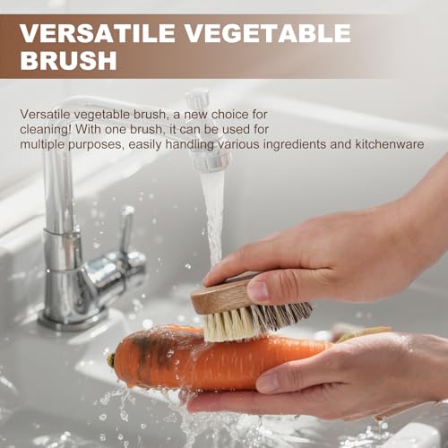 DEBETOOL 2-Pack Wooden Vegetable Brush Scrubber with Dual Bristles