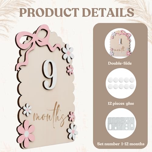 Baby Girl Monthly Milestone Signs - Double-Sided Nursery Decor