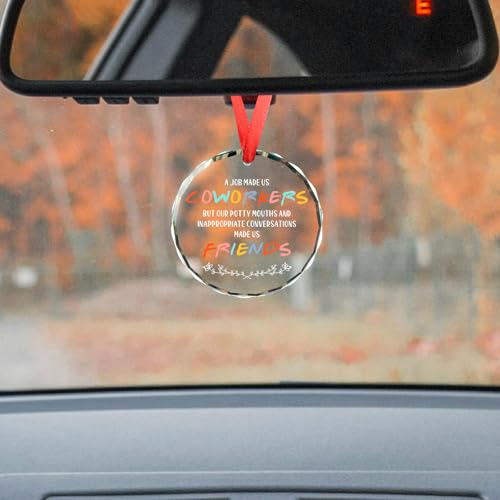 Humorous Glass Ornament Farewell Gift for Coworkers & Friends
