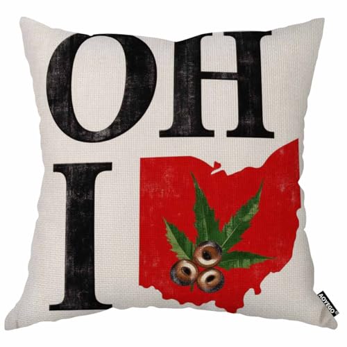 Ohio State Throw Pillow Cover 18x18 Vintage Buckeye Nut - Multi-a193