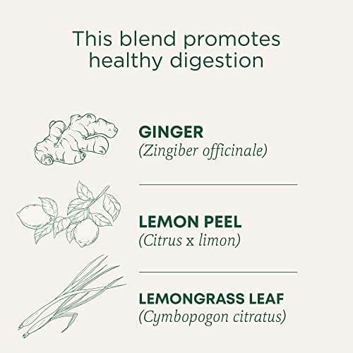Traditional Medicinals Organic Lemon Ginger Tea Bags, 16 Count - Supports Digestion, Caffeine-Free, Non-GMO