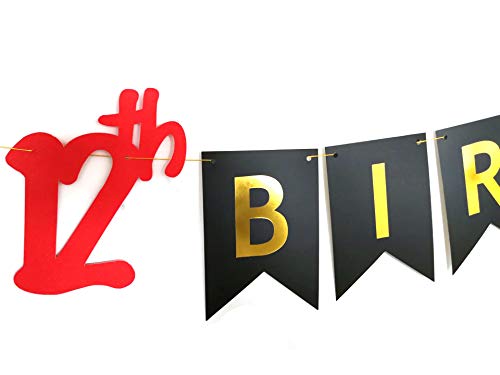 Video Game 12th Birthday Banner for Gamer Party Decorations
