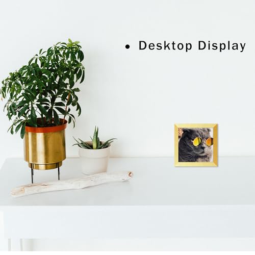 THCASITO Gold 4x4 Square Photo Frames Set of 2 - Wall & Desk Decor