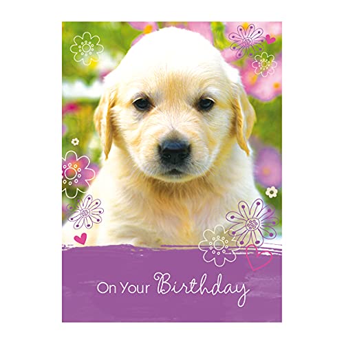 Religious Birthday Card Assortment Box Set - 12 Cards with Envelopes