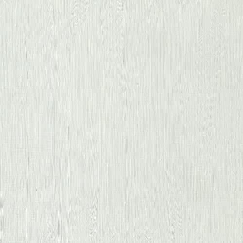 Winsor & Newton Galeria Acrylic Color Tube - Pale Olive 60ml