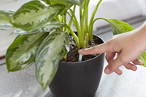 Miracle-Gro Indoor Plant Food Spikes - Slow-Release Fertilizer, 24 Count