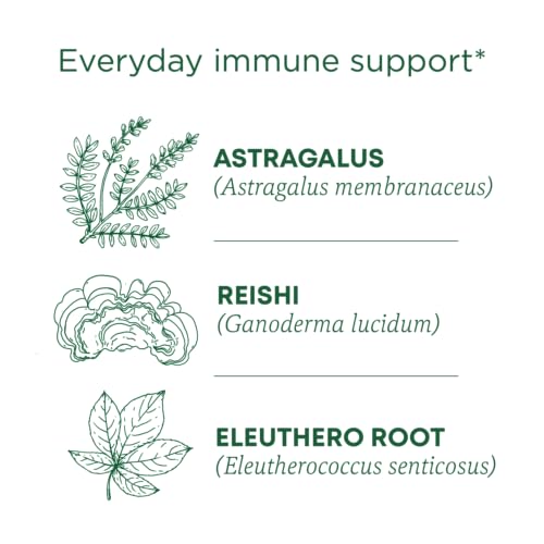 Traditional Medicinals Organic Stress Ease Immune Tea, Reishi Warming Spice, 16 Bags