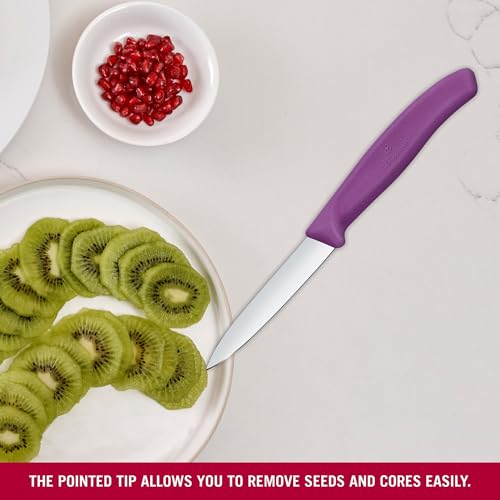 Victorinox Swiss Classic Purple Paring Knife - NSF Approved