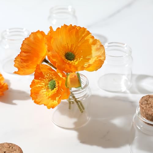 Magic Season Decorative Round Glass Bottles with Cork Stoppers - 2 Pack