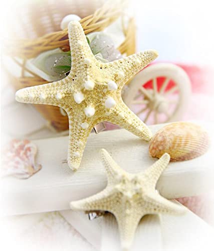 Starfish Hair Clips Seashell Hair Barrette Mermaid Headpiece