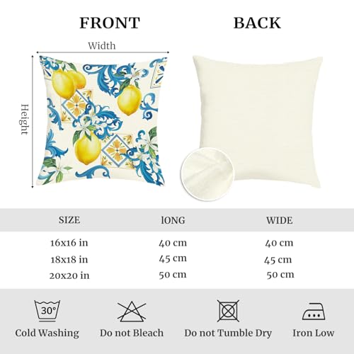 Mediterranean Lemon Throw Pillow Covers - Set of 4, 18x18