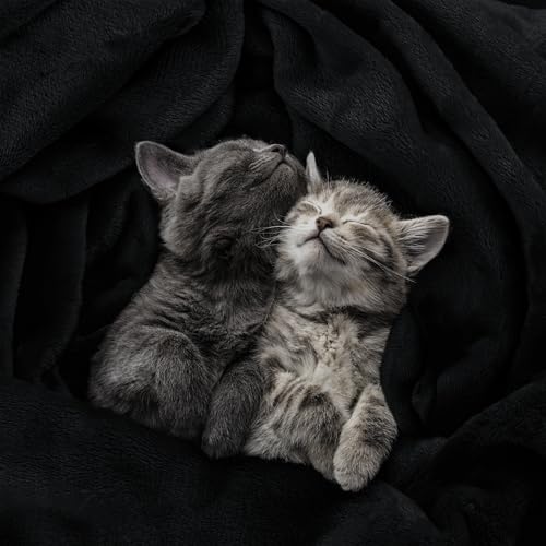 Utopia Bedding King Size Fleece Blanket - Black Plush Microfiber