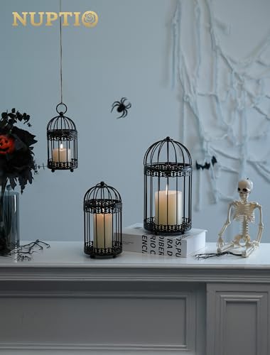 NUPTIO Vintage Bird Cage Candle Holder, 6-Inch Black Metal Lantern (2-Pack)