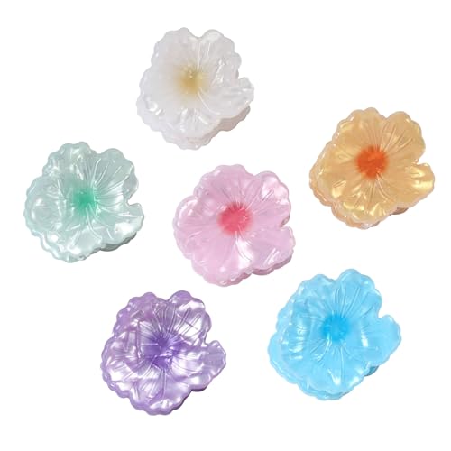 Cuizhiyu Mini Flower Hair Claw Clips Acrylic Beach Hair Accessories 6PK