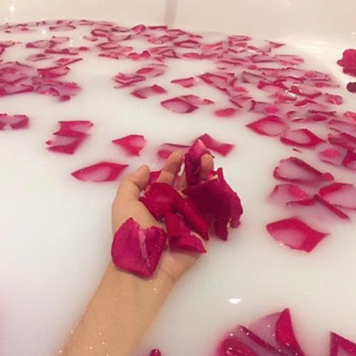 100g Dried Red Rose Petals for Weddings, Crafts & Baths