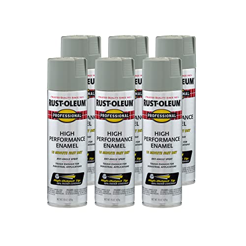 Rust-Oleum Professional Stainless Steel Spray Paint, 14 oz (6-Pack)
