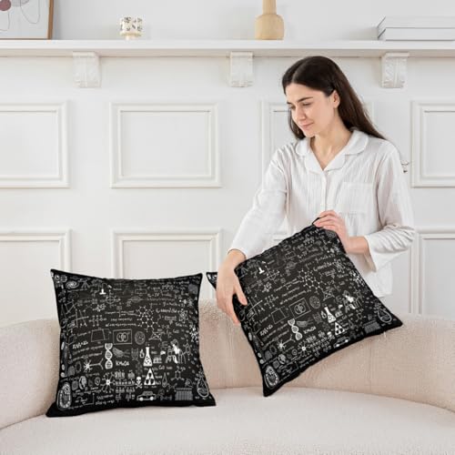 Chemical Formula Throw Pillow Covers, 16x16 Inch Science Theme, Pack of 2