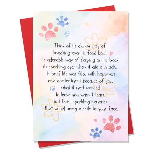 Pet Sympathy Card for Dog & Cat Loss - Rainbow Bridge Design