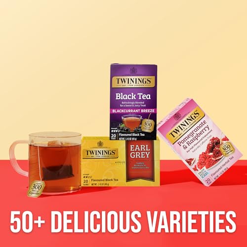 Twinings Blackcurrant Breeze Black Tea Bags - Caffeinated Fruity & Tangy, 120 Count Pack of 6