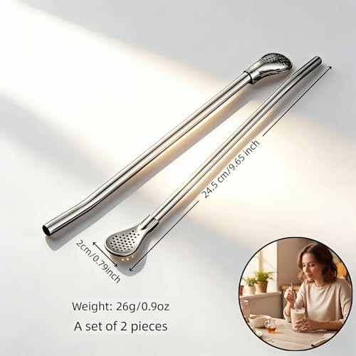2-in-1 Stainless Steel Filter Straw Spoon - 9.65 Inch, 2 Pack