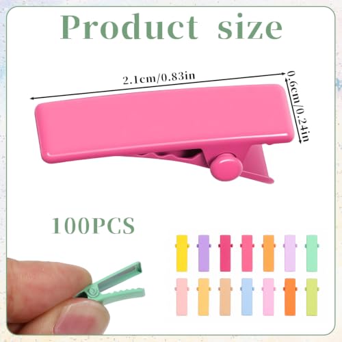 Bruislard 100 Pcs Mini Alligator Clips 2cm Small Metal Hair Barrettes