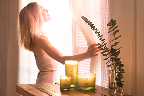 Chesapeake Bay Candle Awaken + Invigorate 8.8oz Scented Candle - Lemongrass Eucalyptus